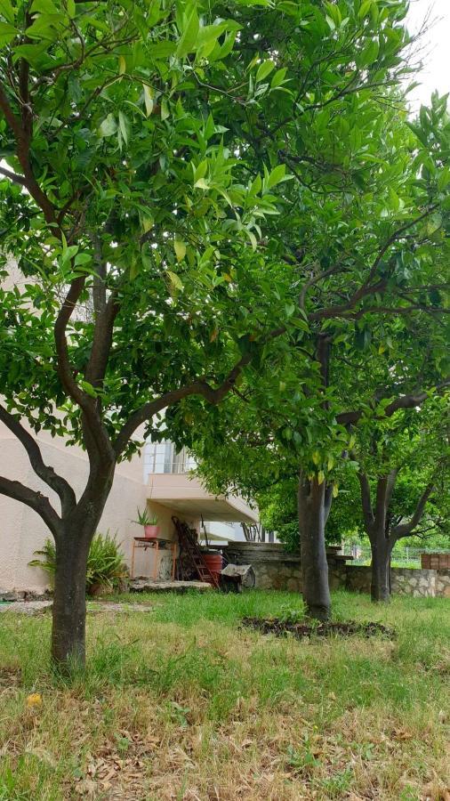 Cheerful 3-Bedroom Private Villa in Borsh! Buitenkant foto